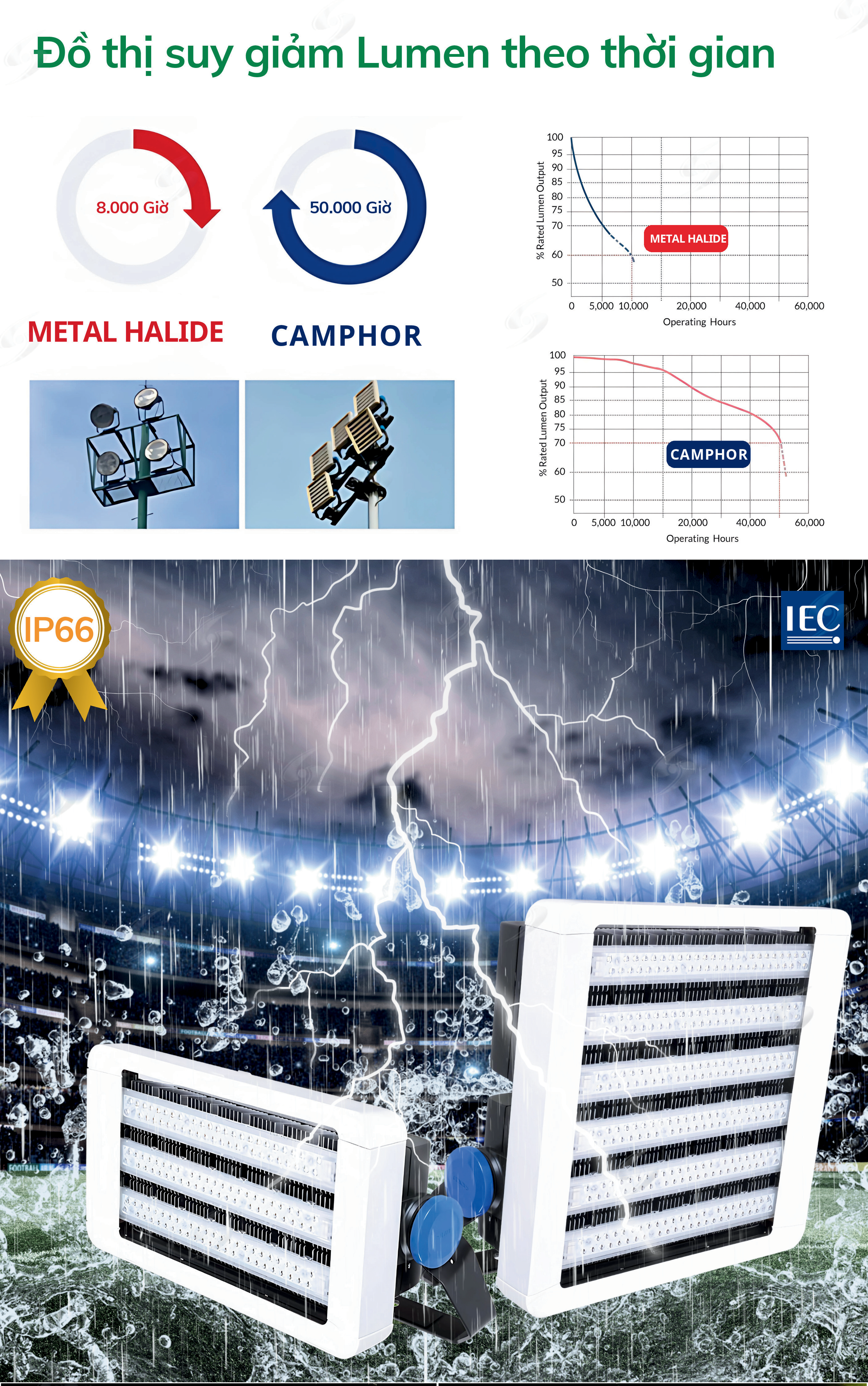 camphor-bl-fl07-2